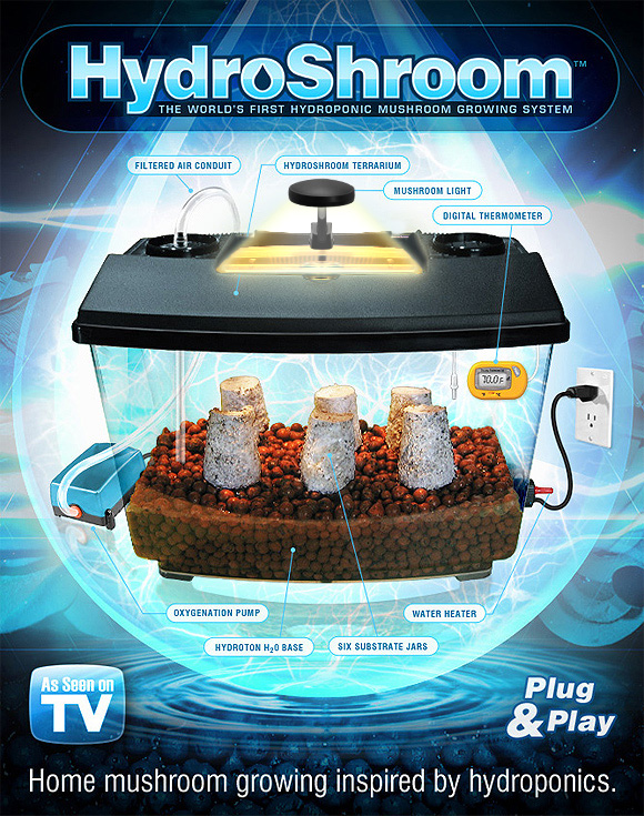 has anyone every tried growing shoomes in a hydro chamber ? - Mushroom ...
